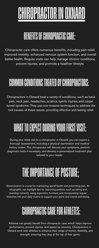 Black and White Business Project Modern Infographic - 1