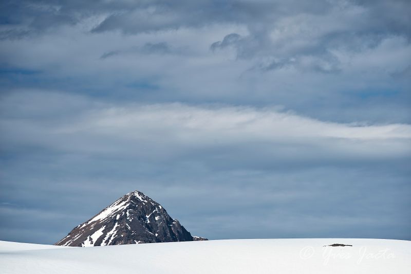 _A7T0229_DxO.jpg