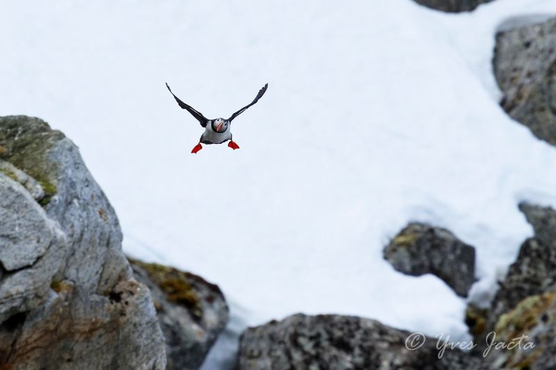 _A7Q6373_DxO.jpg