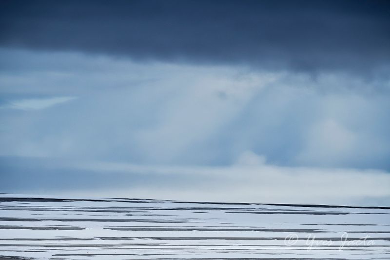 _A7Q7928_DxO.jpg