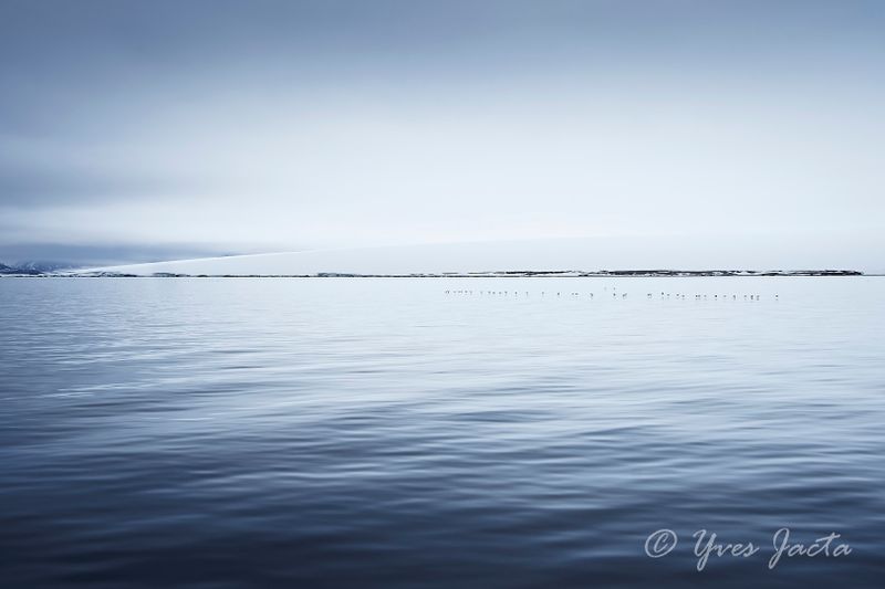 _A7T2625_DxO.jpg