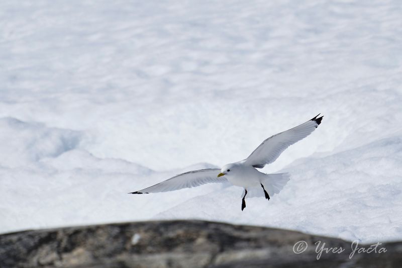 _A7Q0404_DxO.jpg