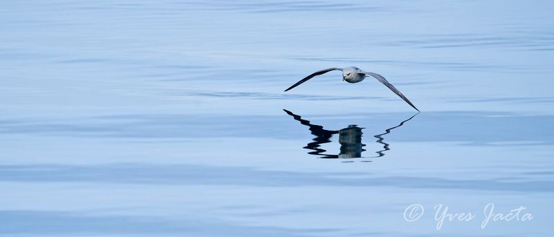 _A7Q3106_DxO_1.jpg