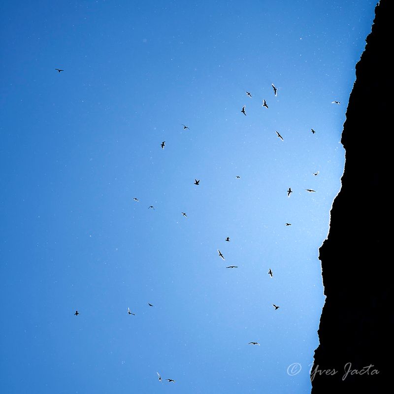 _A7Q5433_DxO.jpg