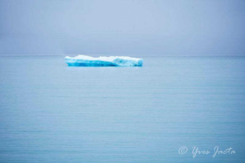 _A7T0945_DxO.jpg