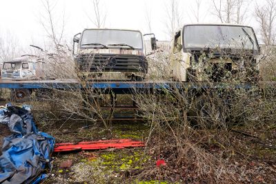 _A676245_DxO.jpg