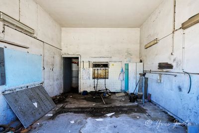 _A667025_DxO.jpg