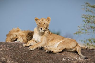 KENYA Septembre 2025