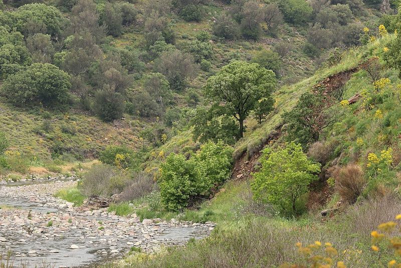 Voulgaris River near Moni Perivolis