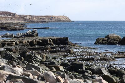 Ekkerøy