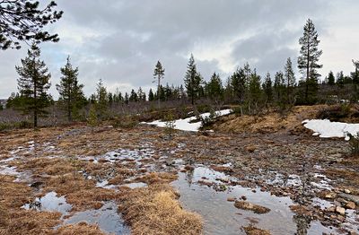 Kiilopää
