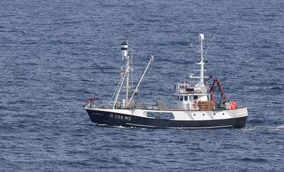 N-298-MS