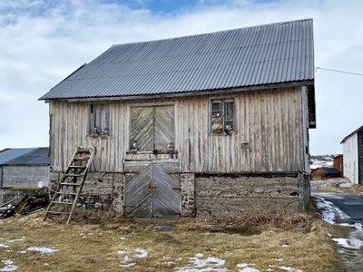 Huis met nesten van Drieteenmeeuwen
