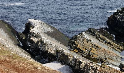 Oostzijde van Hornøya