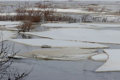 IJsschotsen in de Tanarivier (Ice floes in river Tana)