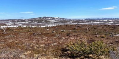 Finland, Lapland & Varanger 2025