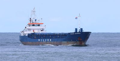 Wilson Drammen
