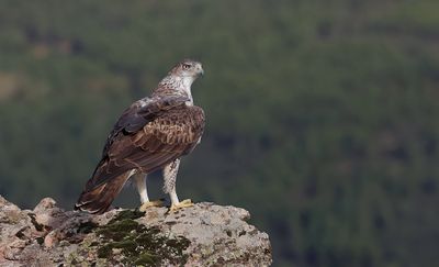 Fotoreis Spanje 2024