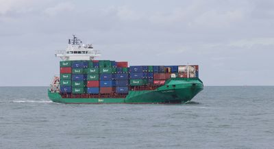 Elbcarrier
