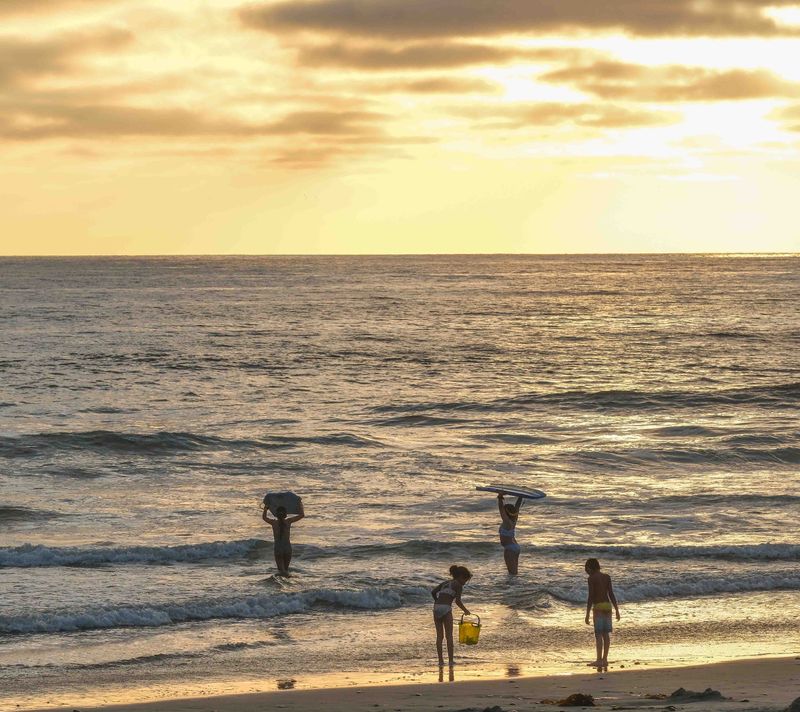 Seaside in Summer