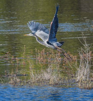 The Takeoff