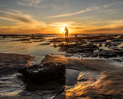 Tide Pool Explorer