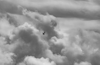 g13/64/1082264/3/174388335.a4c9231c.JPEG