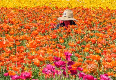 The Flower Fields:  Immersed in Her Work