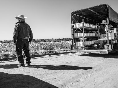 The Flower Fields:  The Foreman