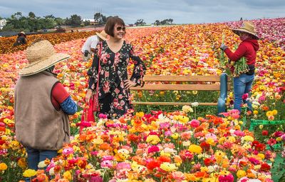 Work and Play in the Flower Fields