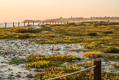 Seaside in Spring