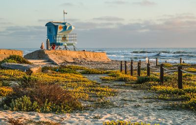 Seaside in Spring II