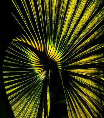 Radiant Energy