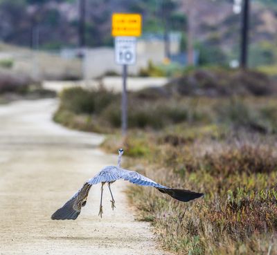 This darn speed limit makes it hard to get any lift!