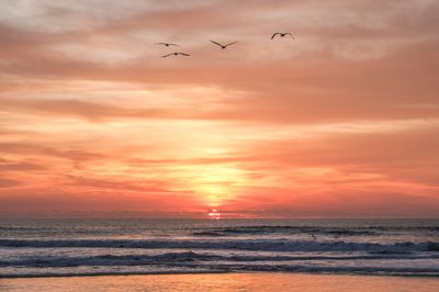 Winter Sunsets 2