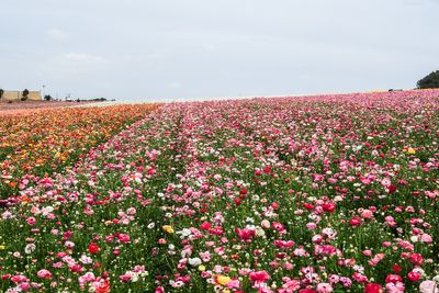g13/64/1082264/3/175331104.fee807a6.JPEG