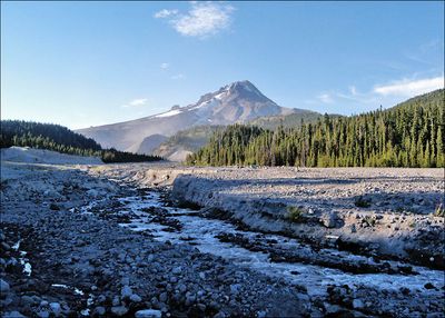 mt_hood_01_4256.jpg