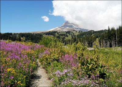 mt_hood_02b_5759.jpg