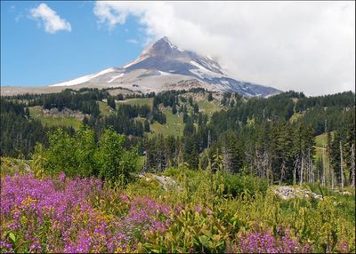 mt_hood_04_5756.jpg