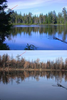 game_lake_flat_fire_before_after_07.jpg