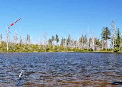 game_lake_flat_fire_before_after_08_7835.jpg