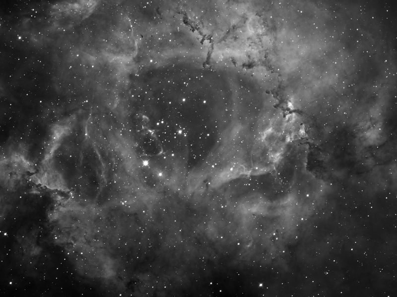 Rosette Nebula 4-frame Mosaic -- 2025 Jan 2