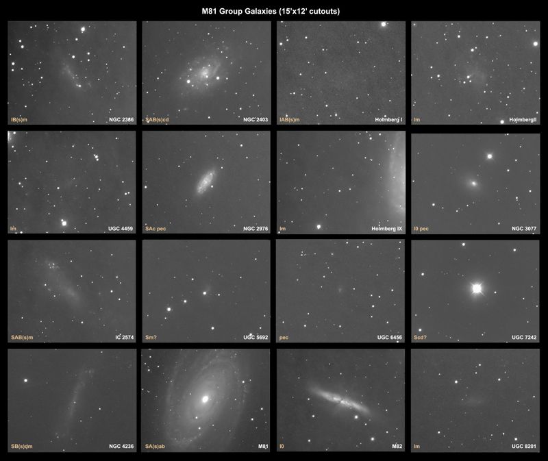 16 Galaxies In the M81 Galaxy Group
