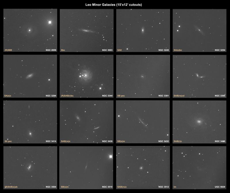 16 Galaxies In Leo Minor