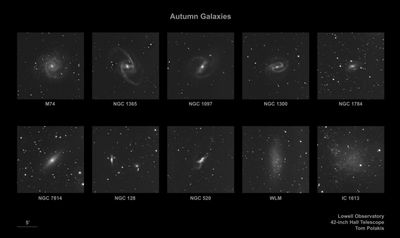 Ten Autumn Galaxies