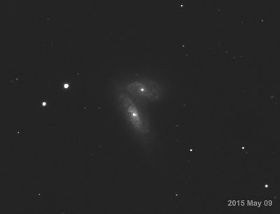 Supernova in Siamese Twin Galaxy NGC 4568