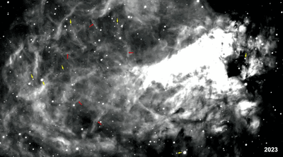 M17 -- 1973-2023