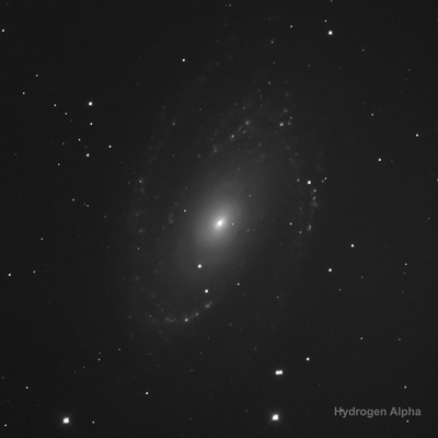 M81: Clear and H-alpha Filter: Mar 10, 2024