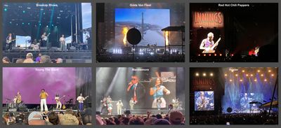 Music Festivals -- February and April 2024