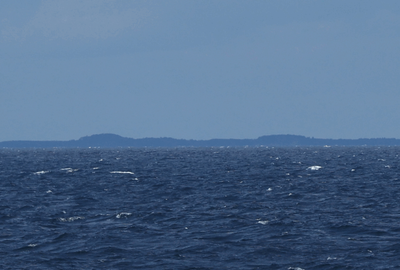 Receding Michigan horizon